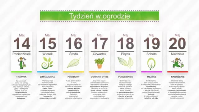 Kalendarz ogrodnika: co kiedy sadzić, aby uniknąć błędów w ogrodzie