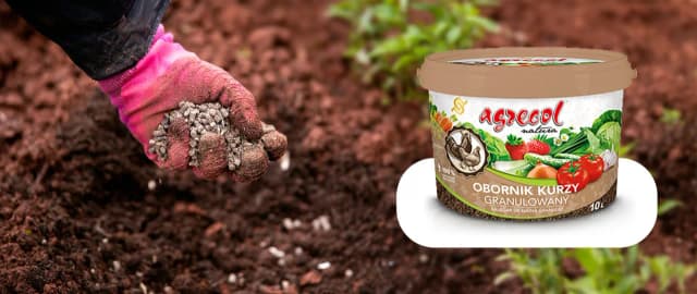 Nawóz kurzy czy bydlęcy - który wybór jest lepszy dla roślin?