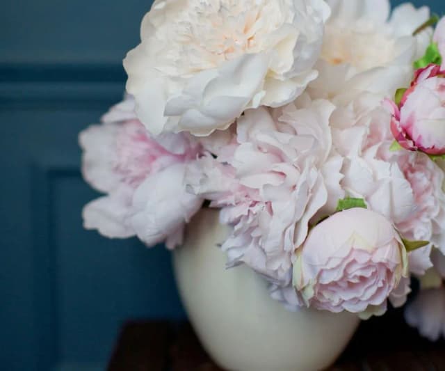 Kiedy sadzić piwonie w donicy, aby uniknąć problemów z ich wzrostem